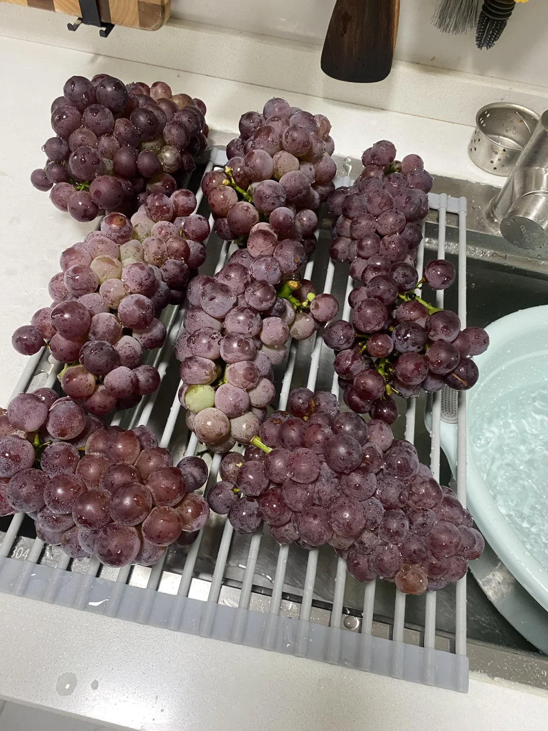 自酿葡萄酒第五天