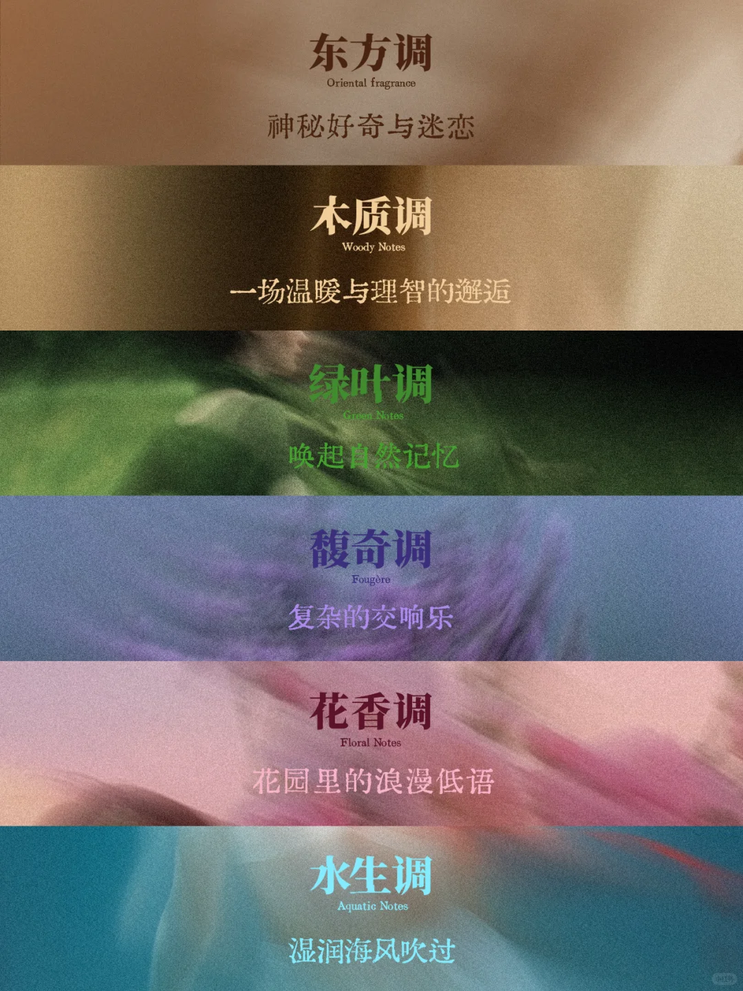 十二香调的彩虹梦境