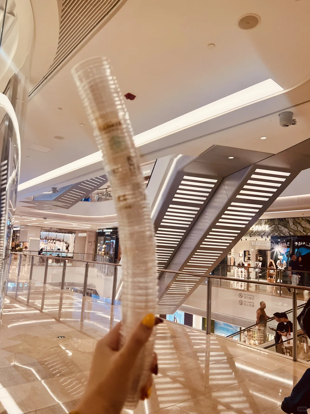 我在2025 Whisky L都喝了啥