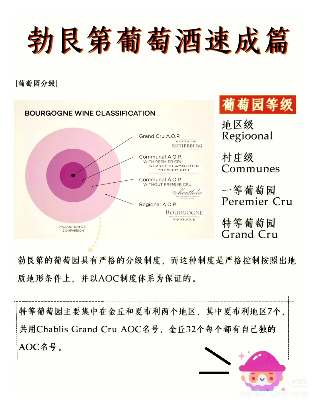 法国十大葡萄酒产区—勃艮第产区