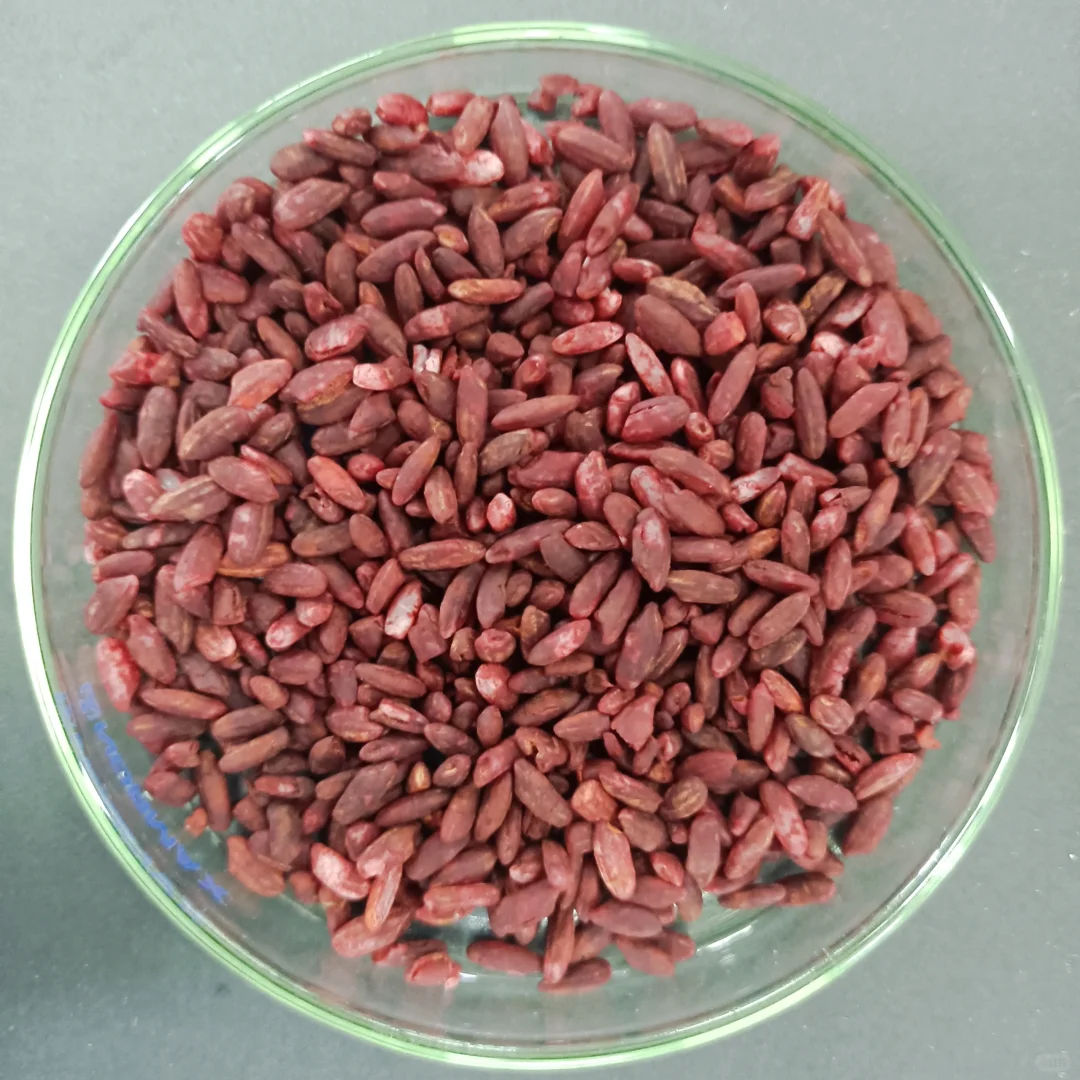 红曲菌固态发酵，忙碌的一天天