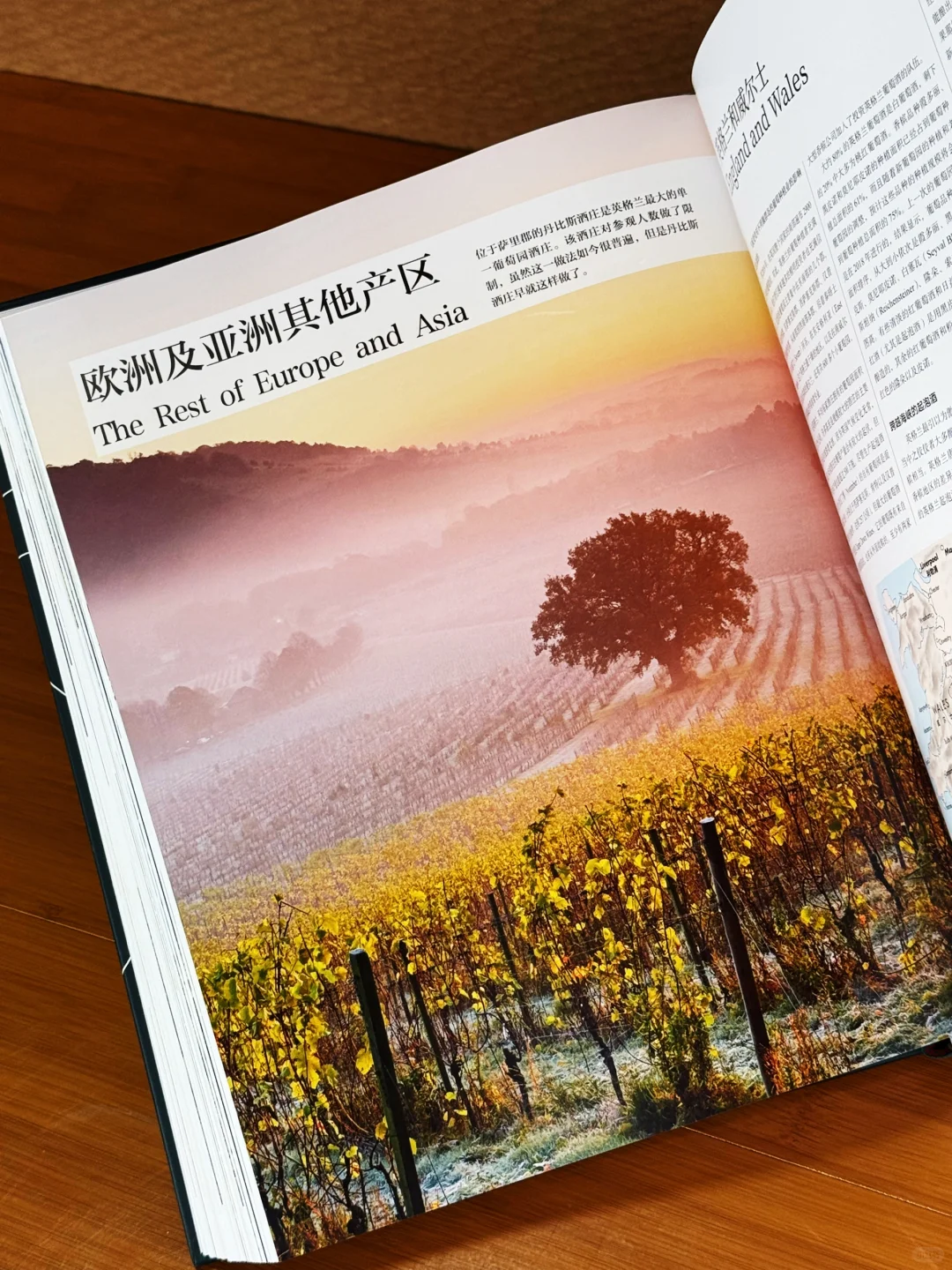 看完这本书，你也能成为半个葡萄酒专家‼️