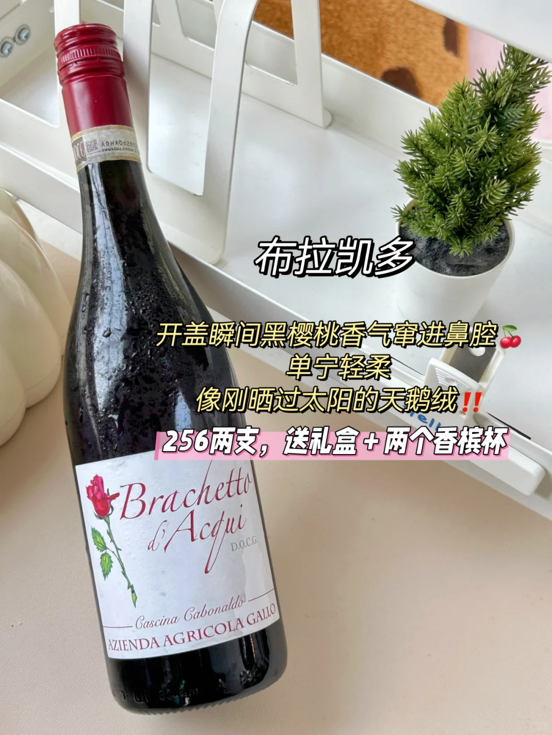 9款喝了必回购的原瓶进口葡萄酒！