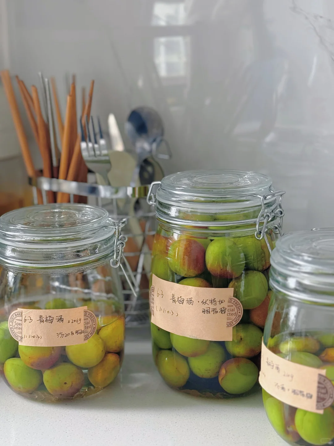 今年青梅酒也是让我做上了！