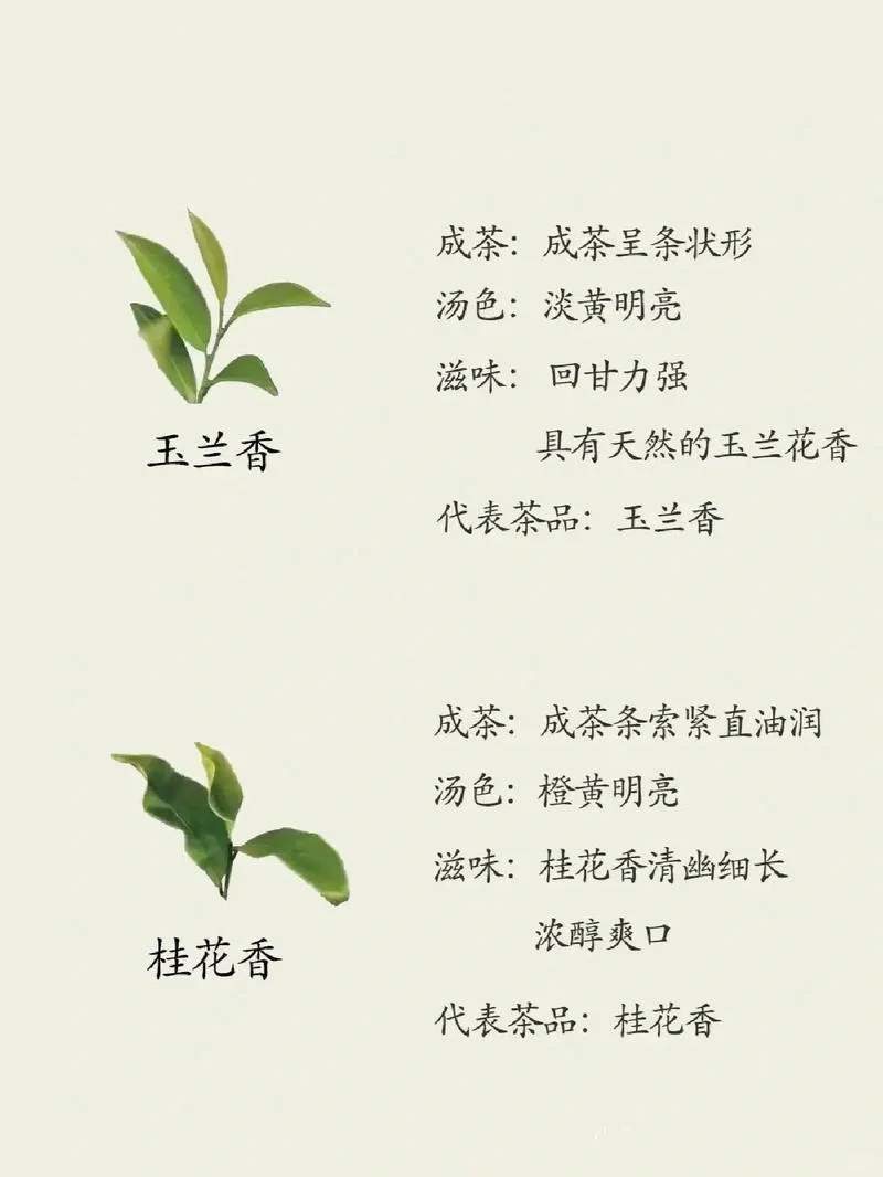 茶知识|凤凰单丛茶十大香型，6张图告诉你?