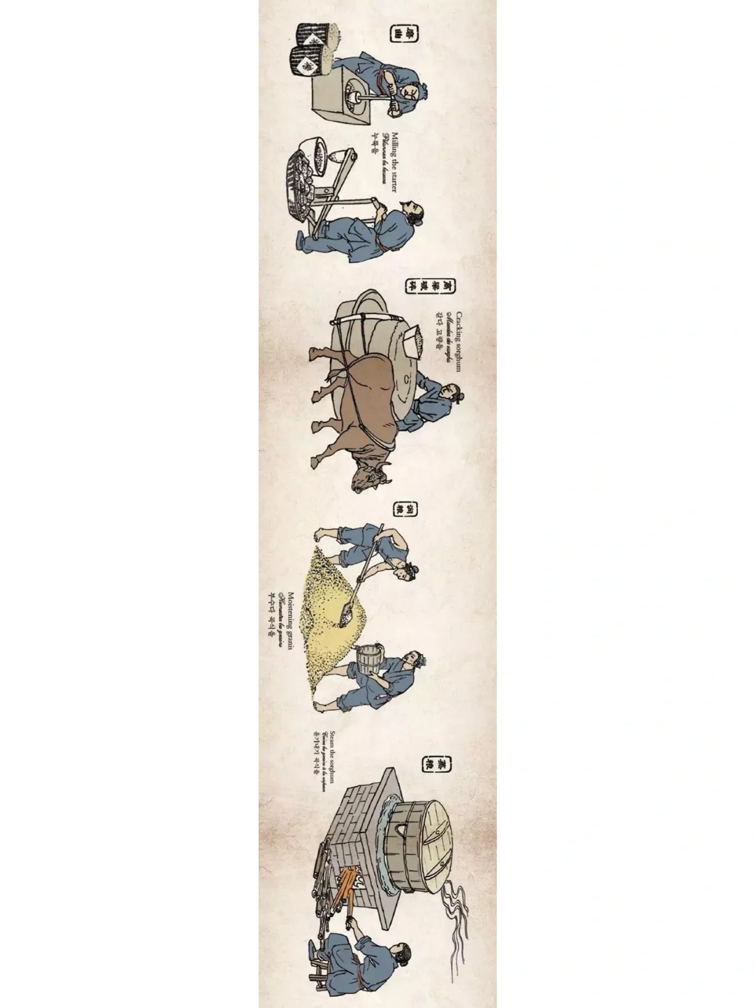 一张图带你领略茅台酒的酿造工艺！