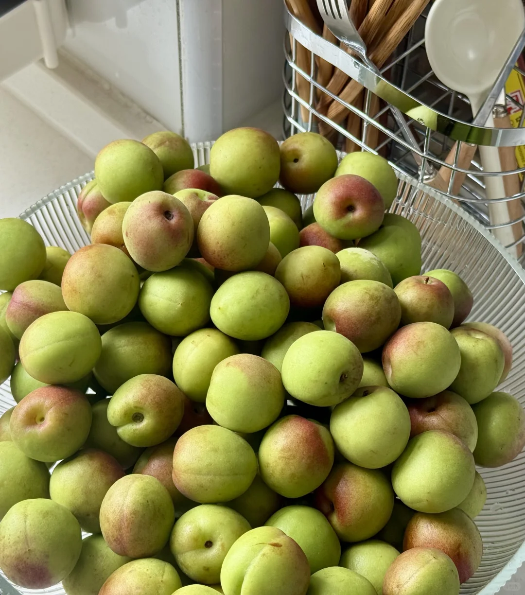 今年青梅酒也是让我做上了！