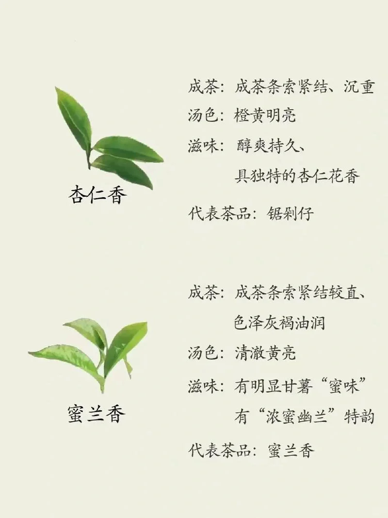 茶知识|凤凰单丛茶十大香型，6张图告诉你?