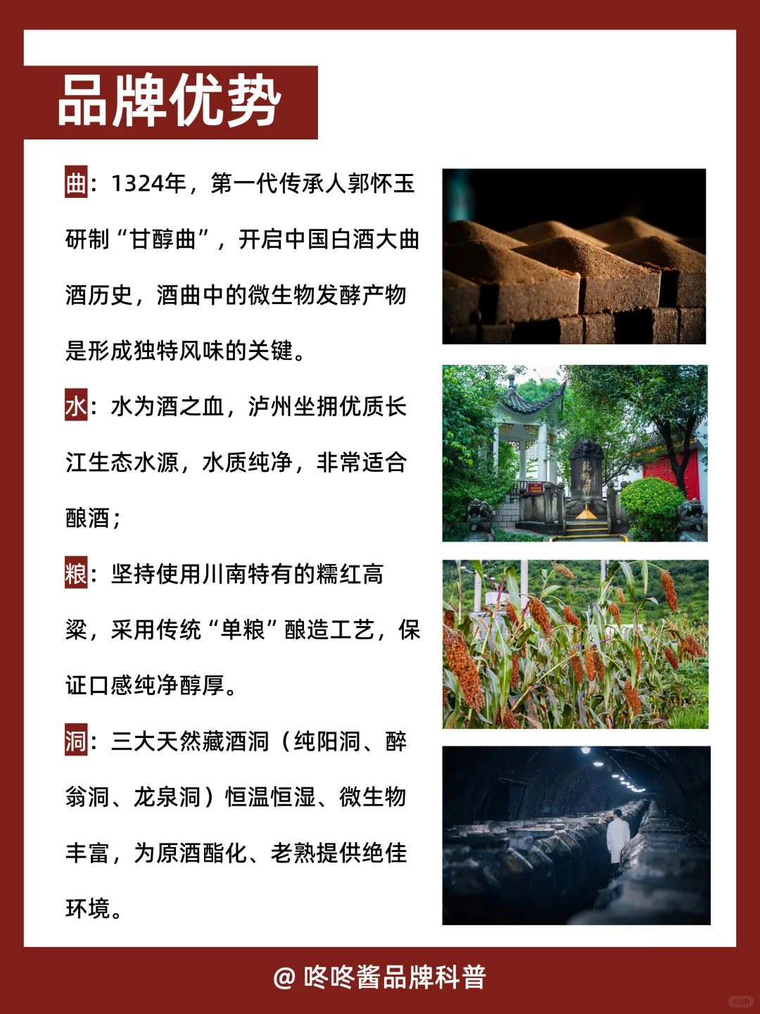 每天认识一个品牌【泸州老窖】