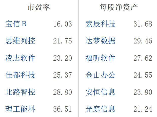 大A软件开发行业龙头