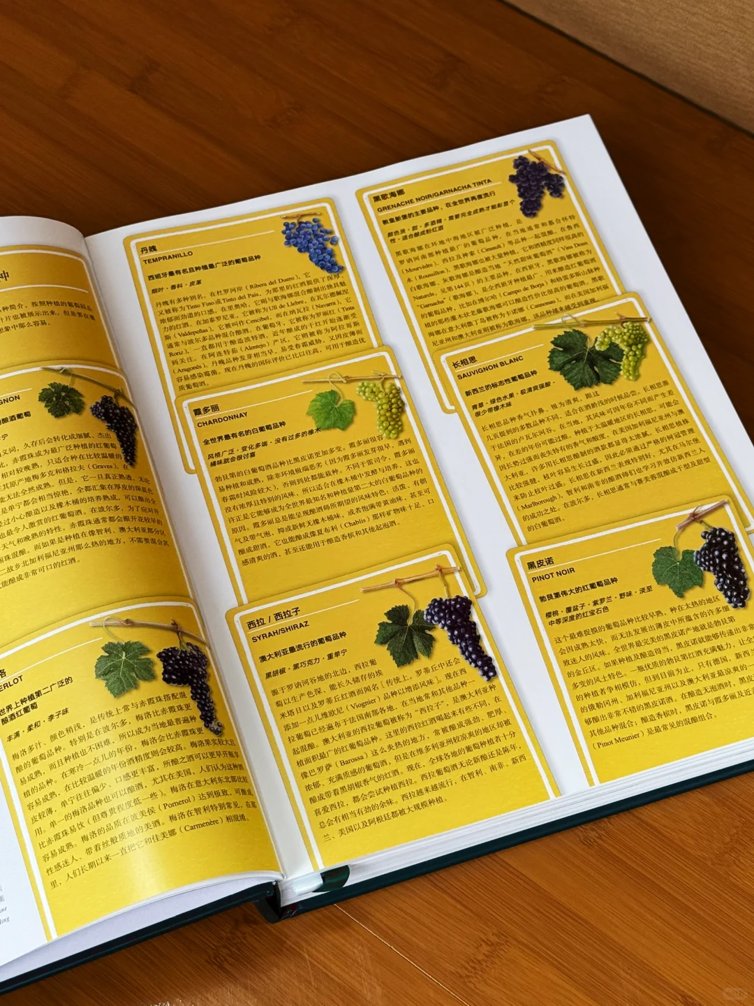 看完这本书，你也能成为半个葡萄酒专家‼️
