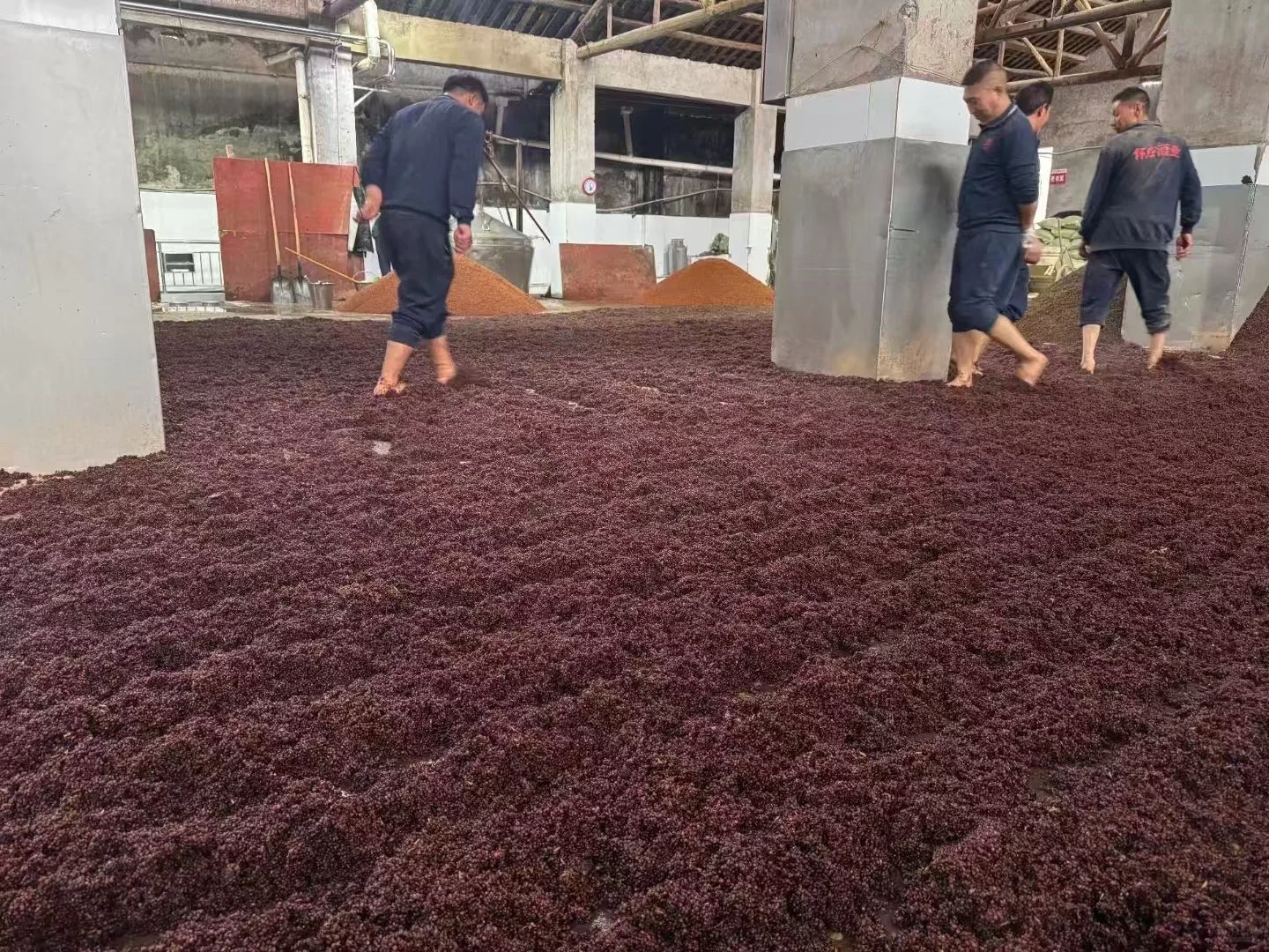 ?酒友速来！邂逅酱香传奇怀庄