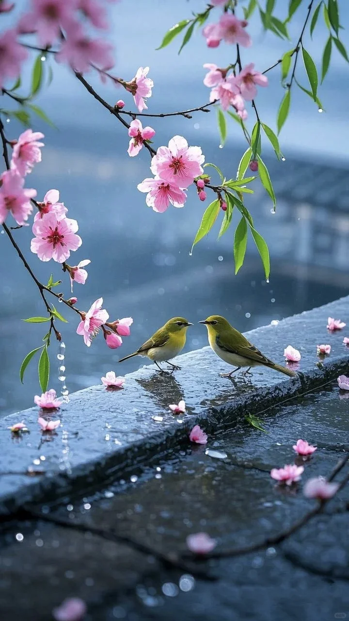 春眠不觉晓，处处闻啼鸟