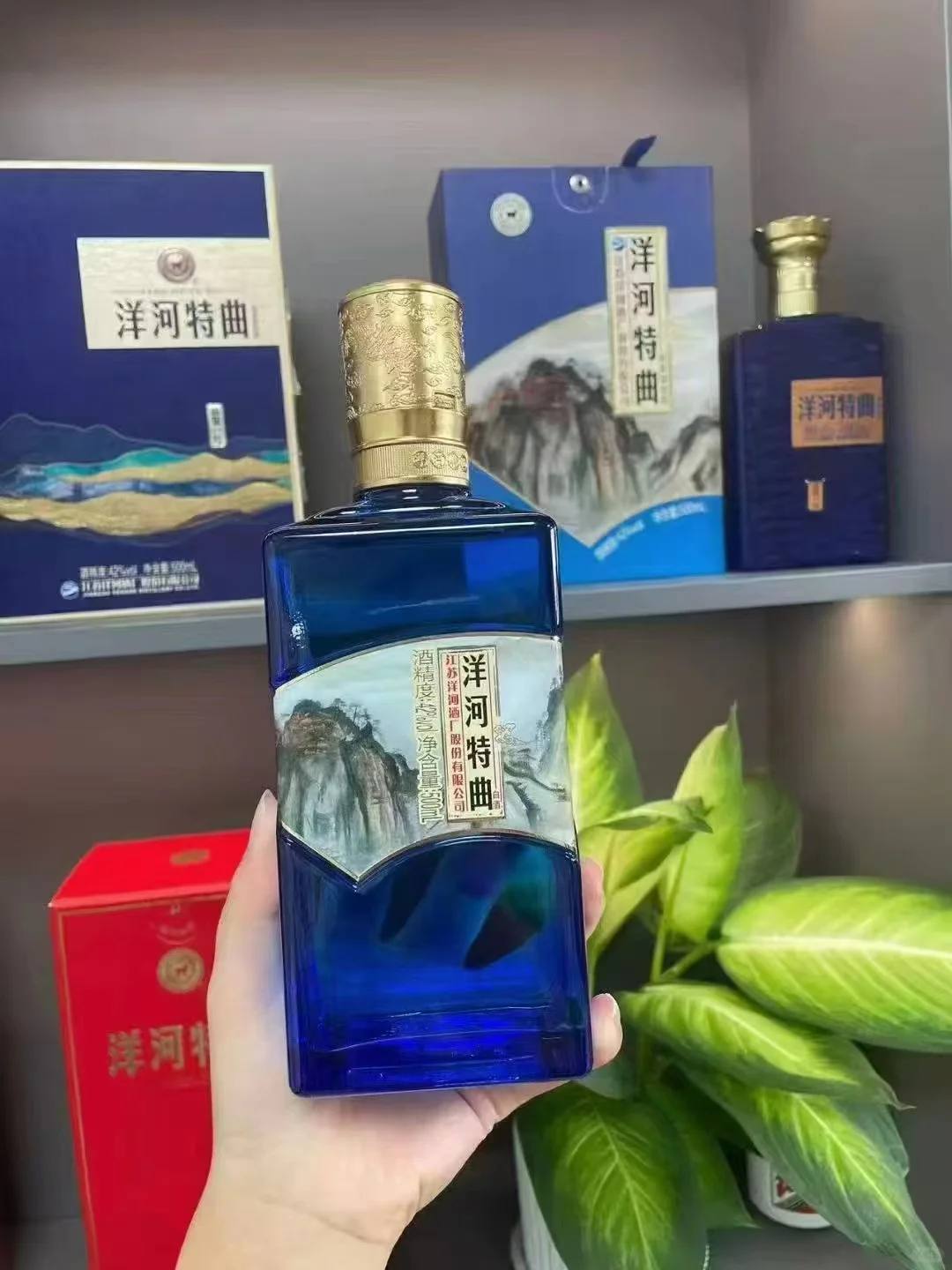 白酒中的茅台洋河特曲值得拥有