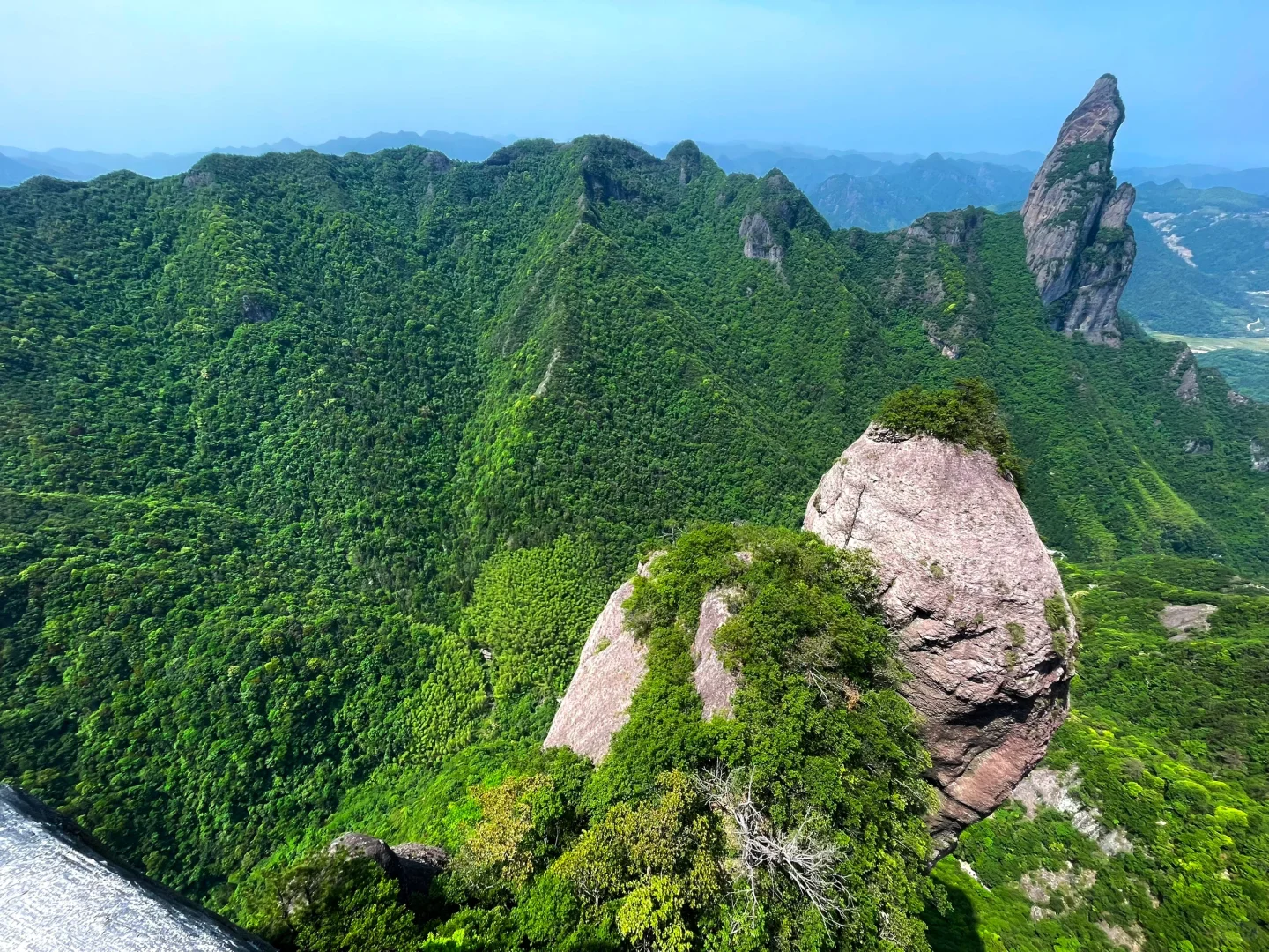 高度近视总结,不要眼镜度数上升