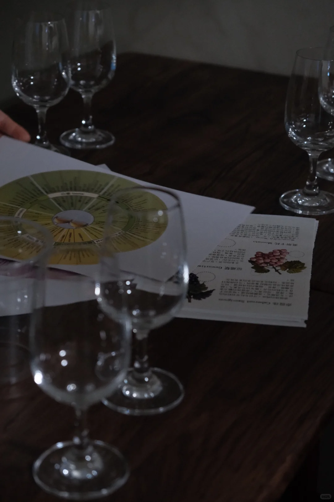 青岛线下活动｜葡萄酒入门 实用装杯指南