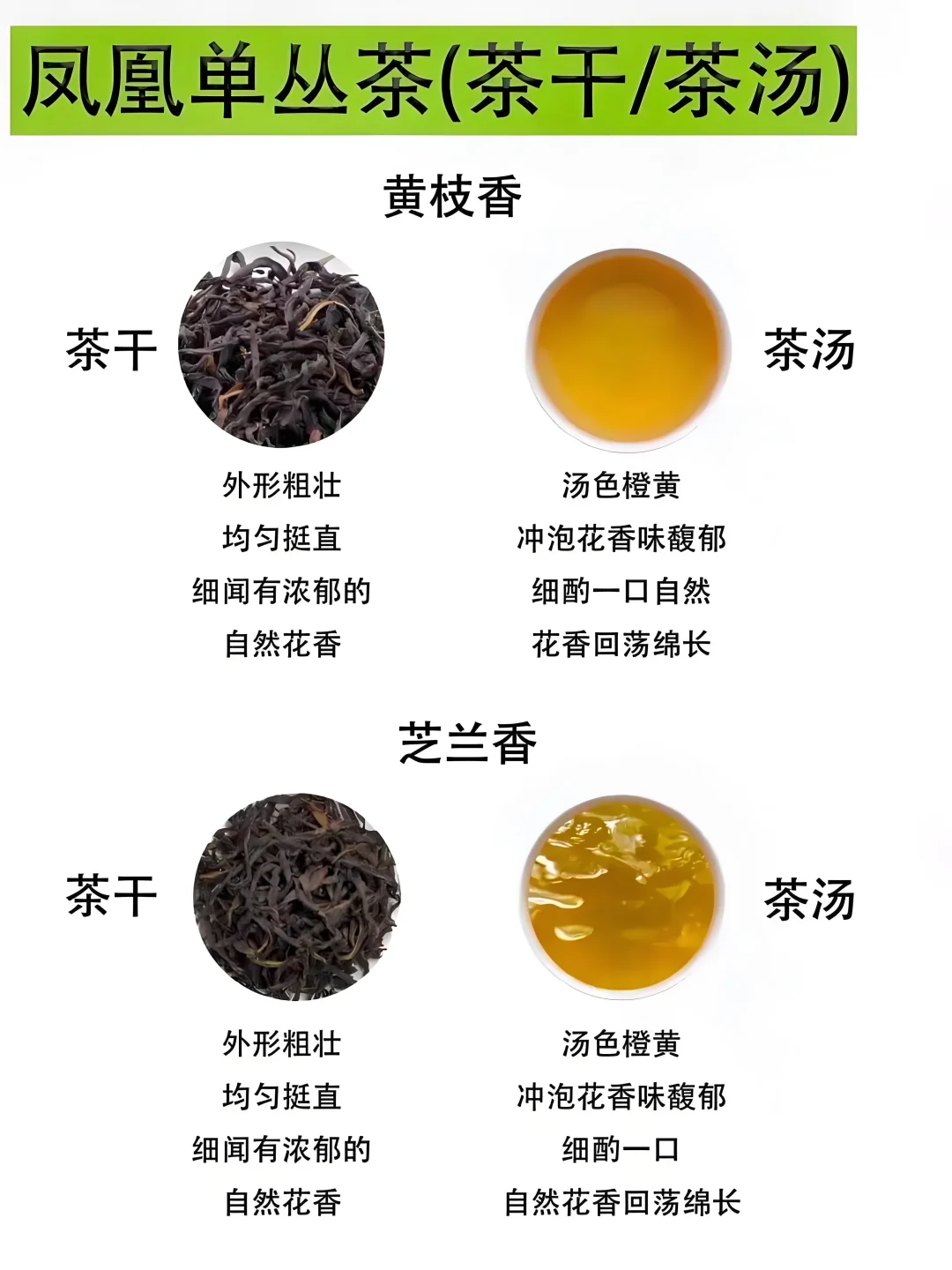 凤凰单丛9大经典香型简介