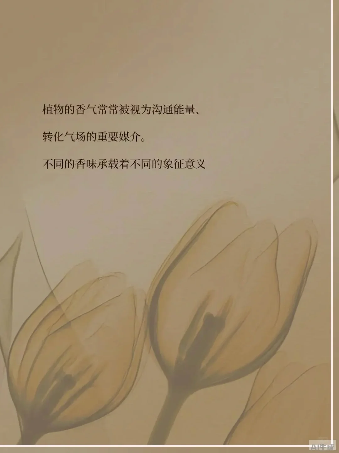 香气与财富的奇妙秘密