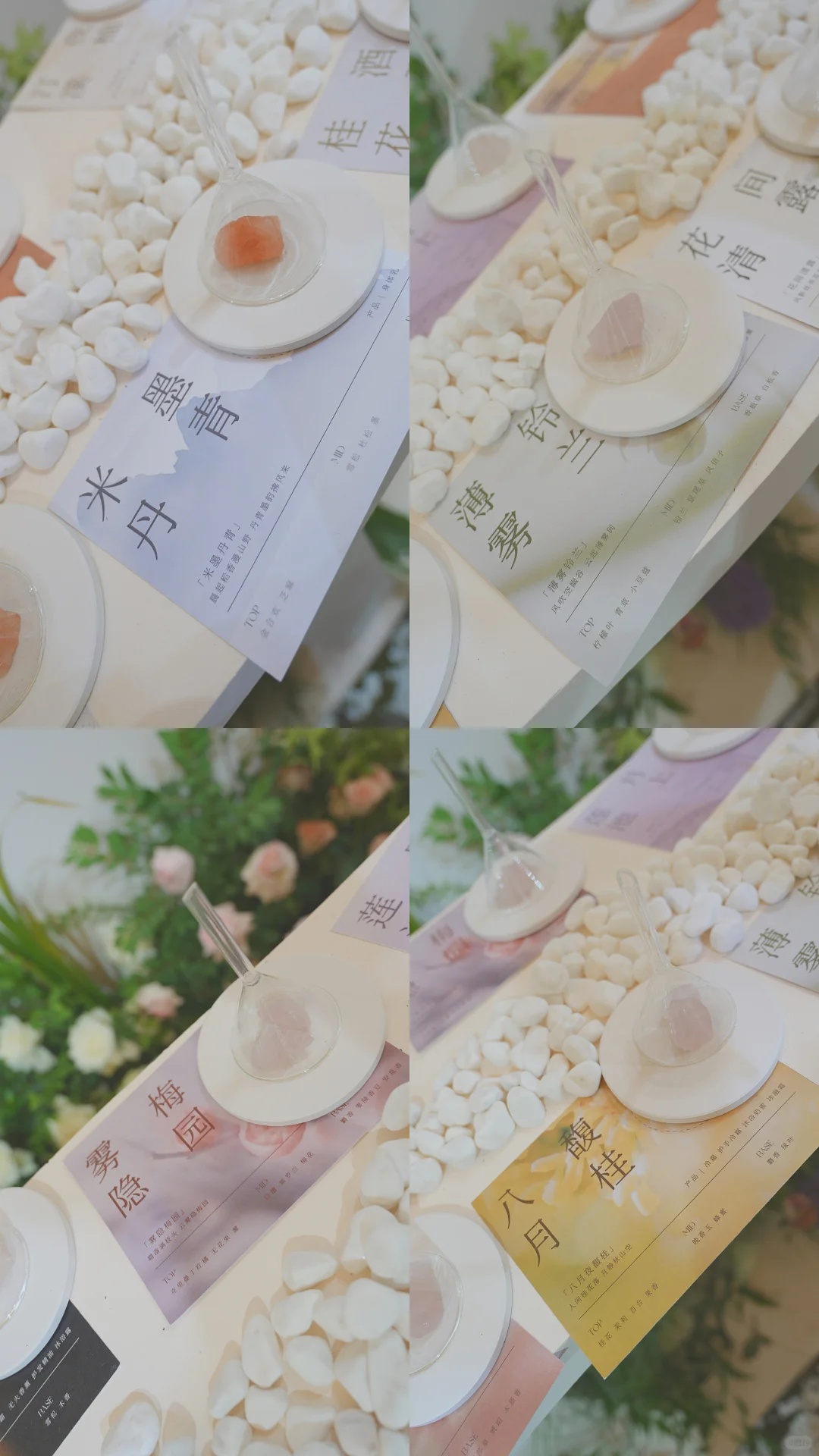 别问，问就是只种草了宝肌米