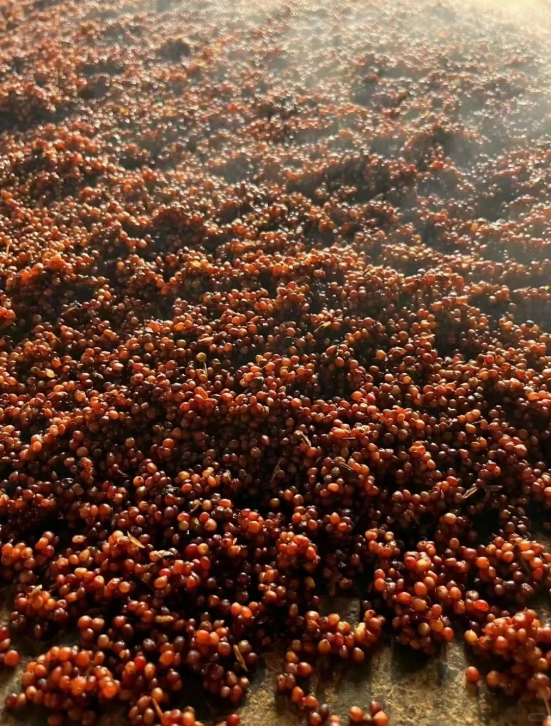 一粒粮食千滴汗——纯粮酒