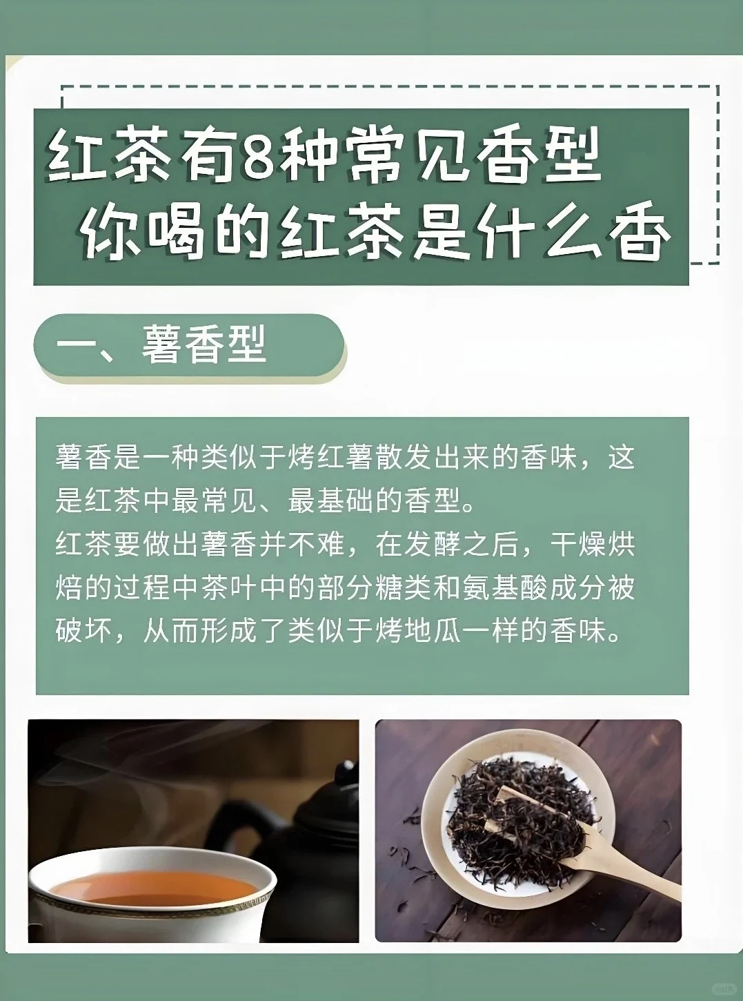你喝的红茶是什么香型？！