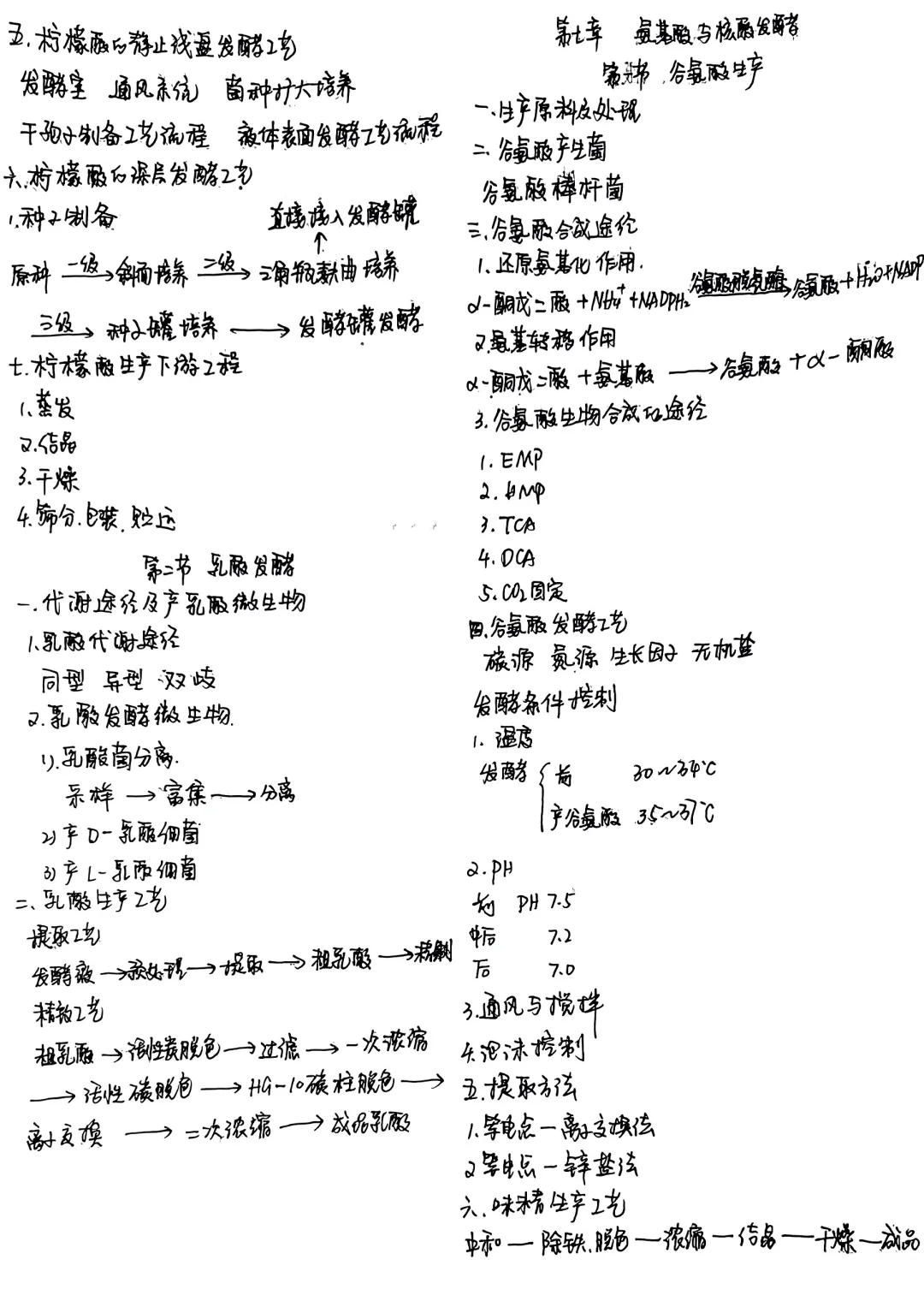 食品发酵原理与技术--笔记