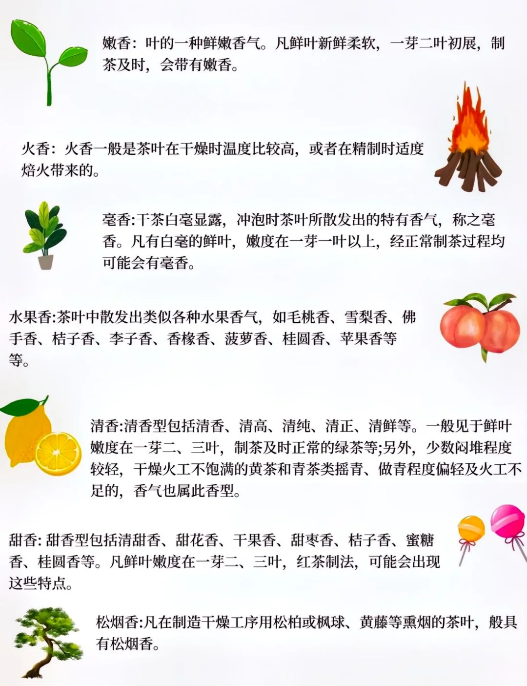 茶叶32种香型，你闻过几种？