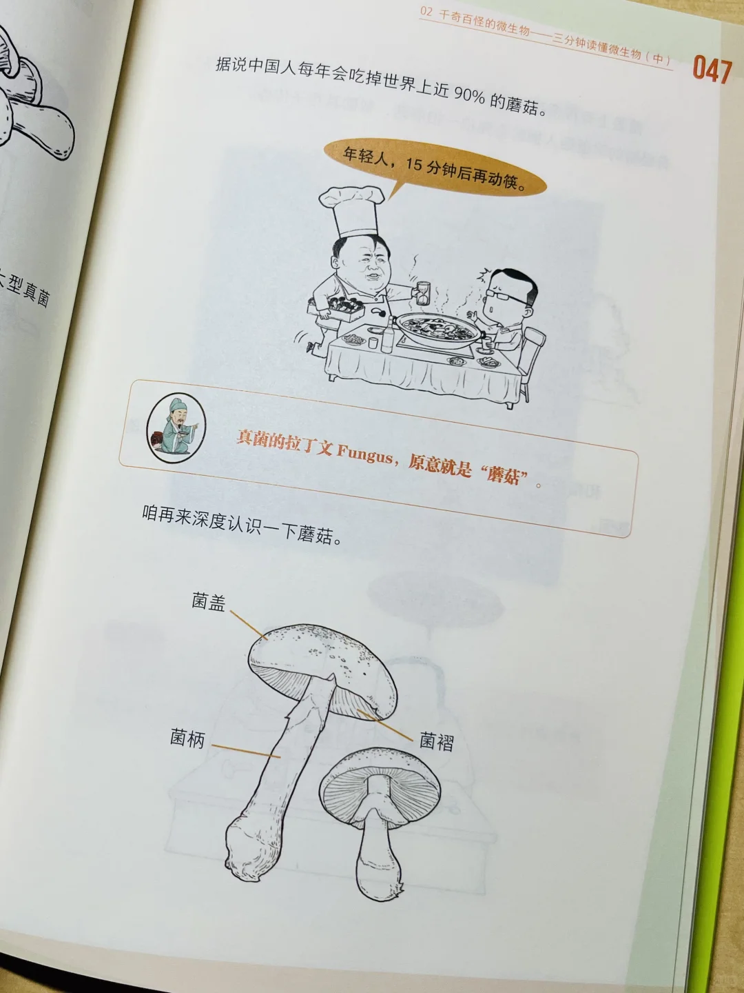 漫画科普|微观世界里的酿酒大师