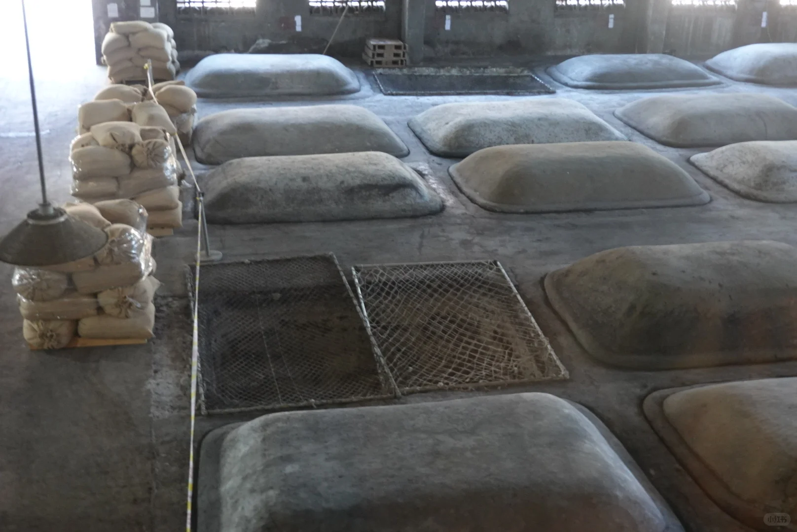 董酒游学实录｜这回，终于把董酒喝懂了