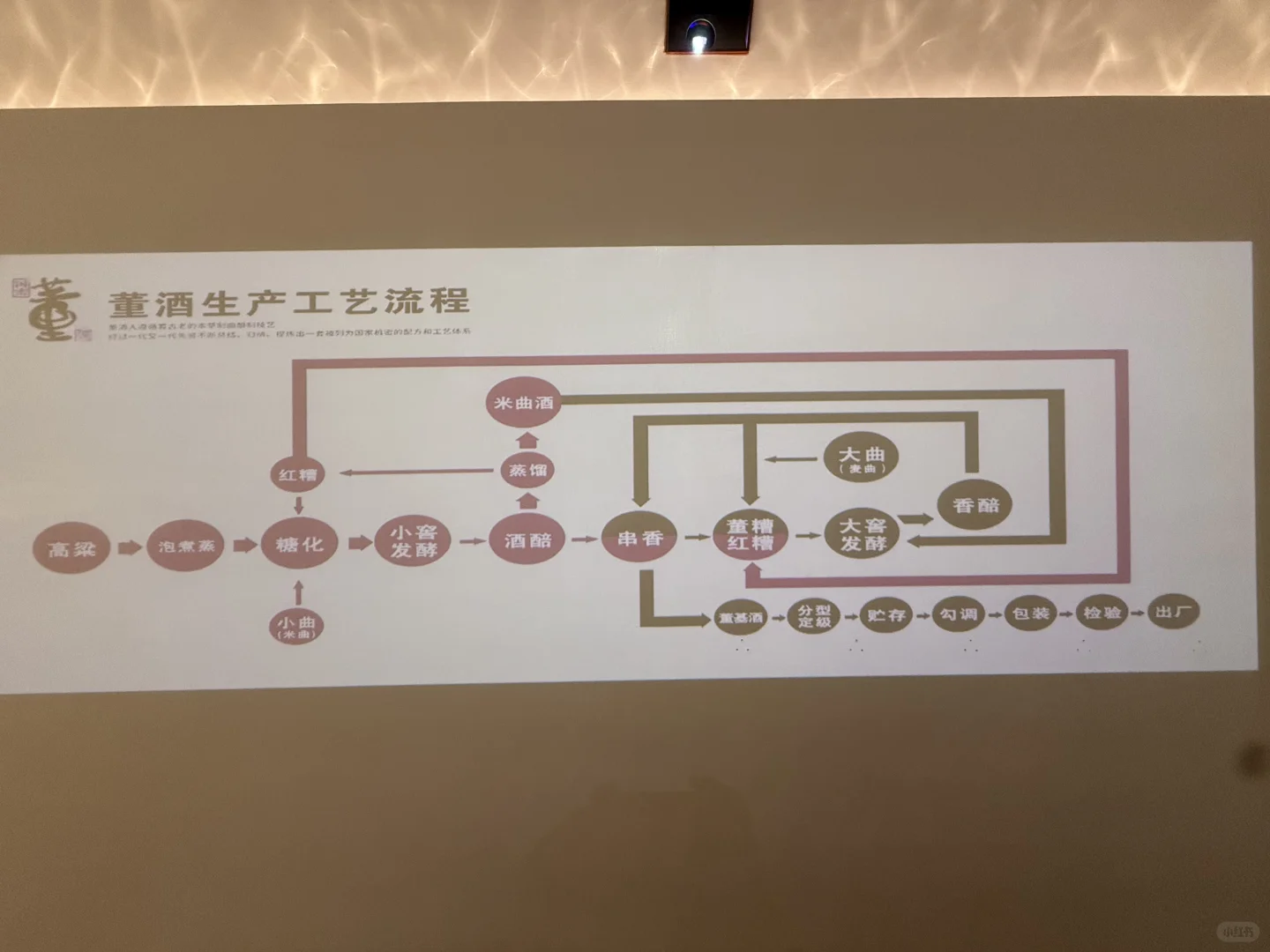 董酒游学实录｜这回，终于把董酒喝懂了