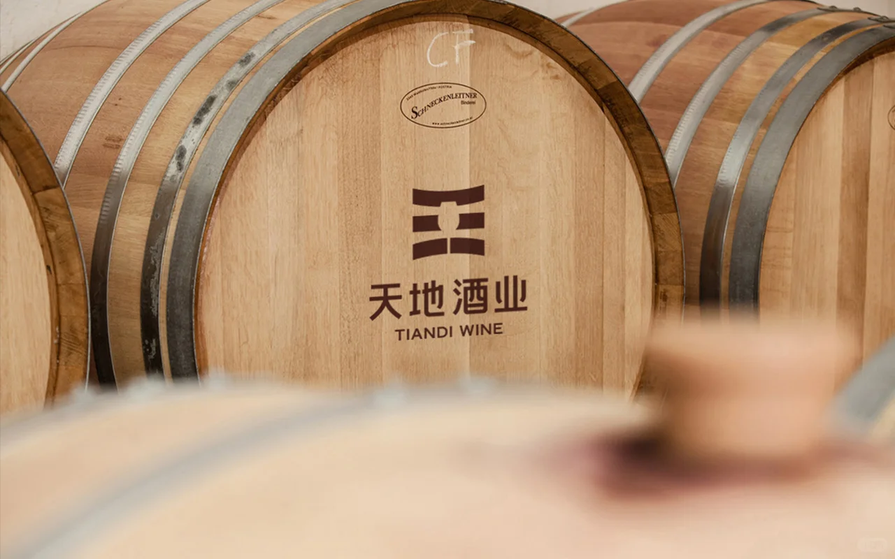 酒水行业品牌策划设计——天地酒业