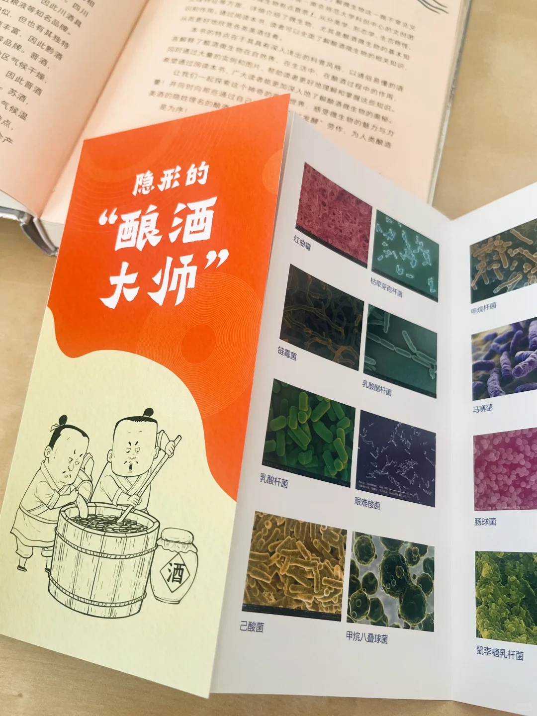 漫画科普|微观世界里的酿酒大师