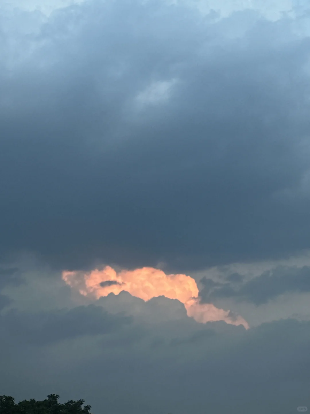 “敬自由、黄昏、书籍、冬天。”