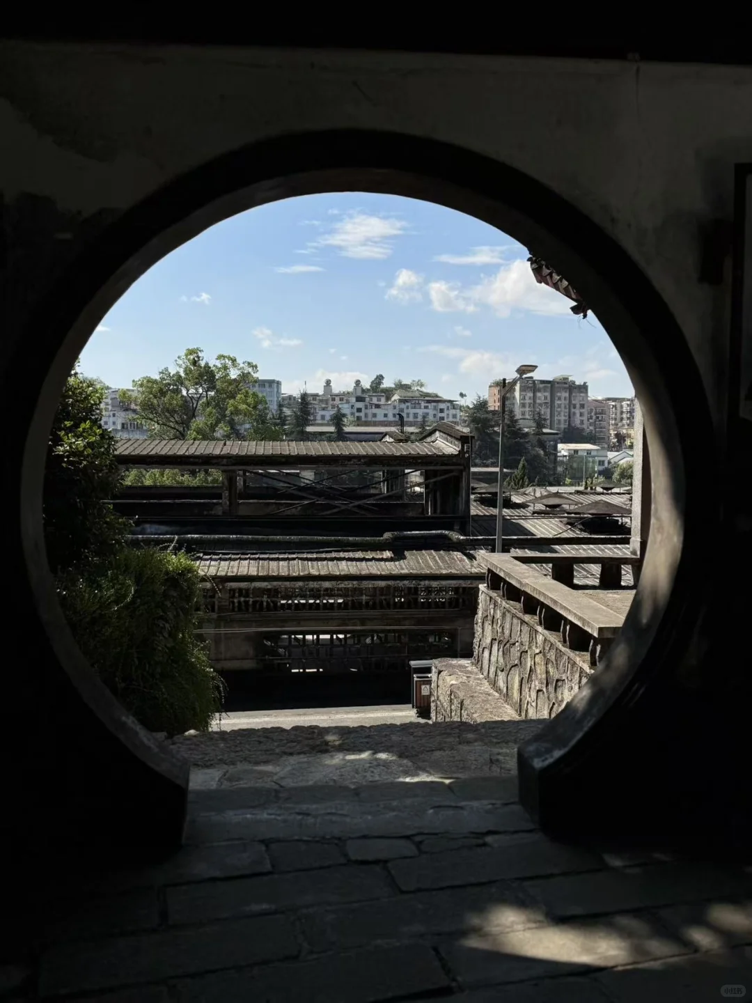 董酒游学实录｜这回，终于把董酒喝懂了