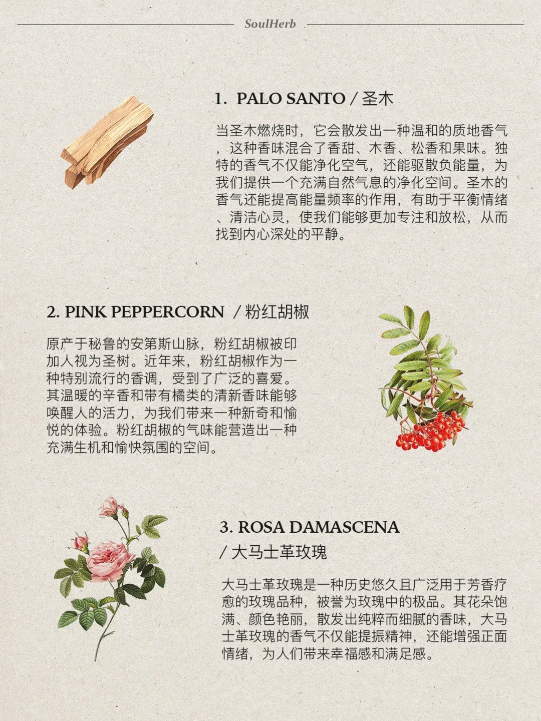 自然疗愈｜?种帮助你提升幸福感的香味?