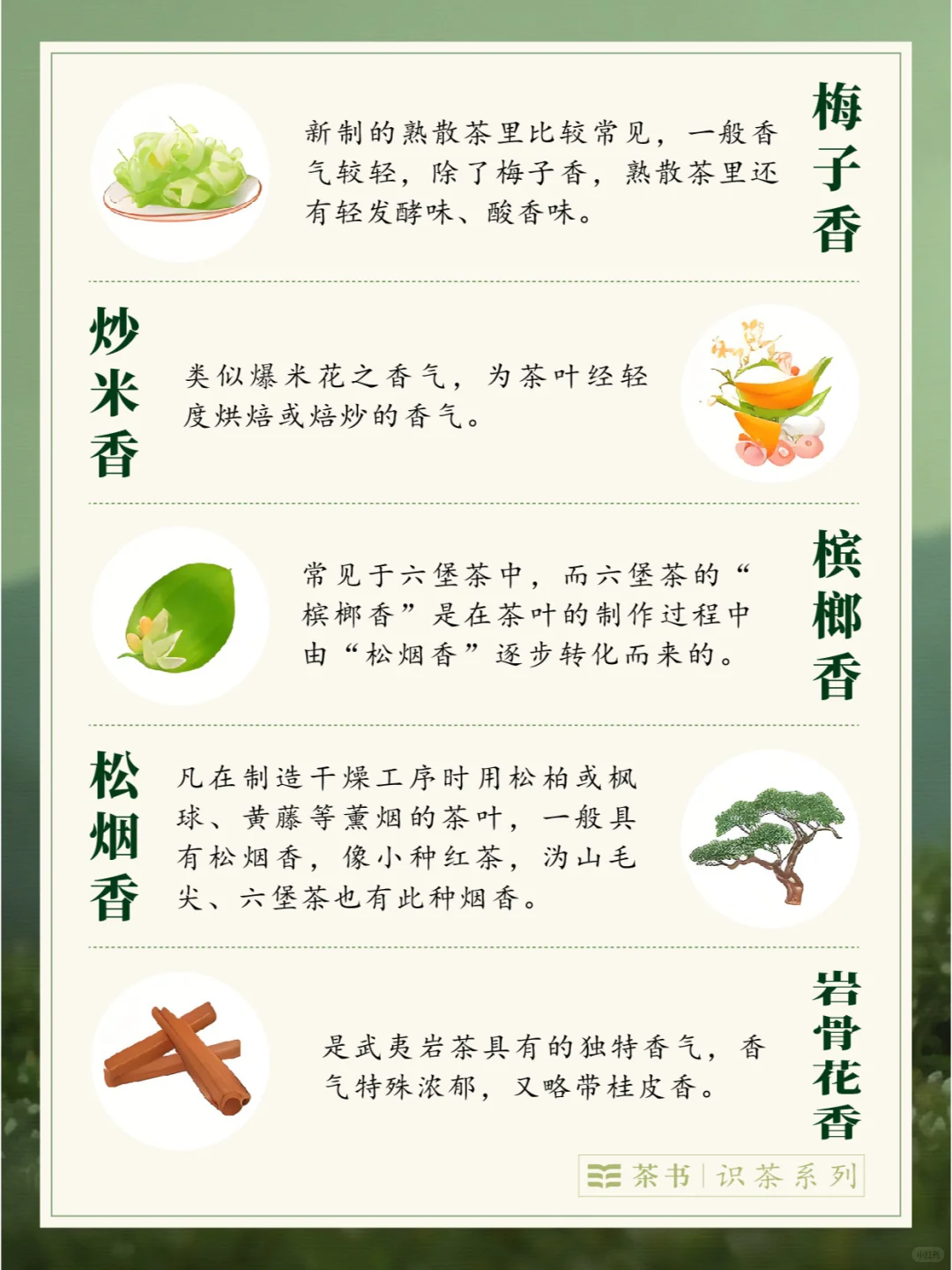 30种茶叶香型?，哪一种是你的心头爱？