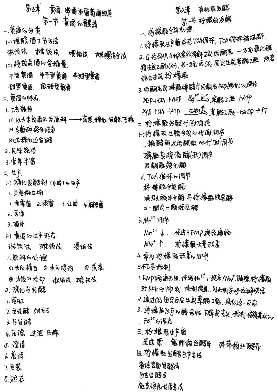 食品发酵原理与技术--笔记