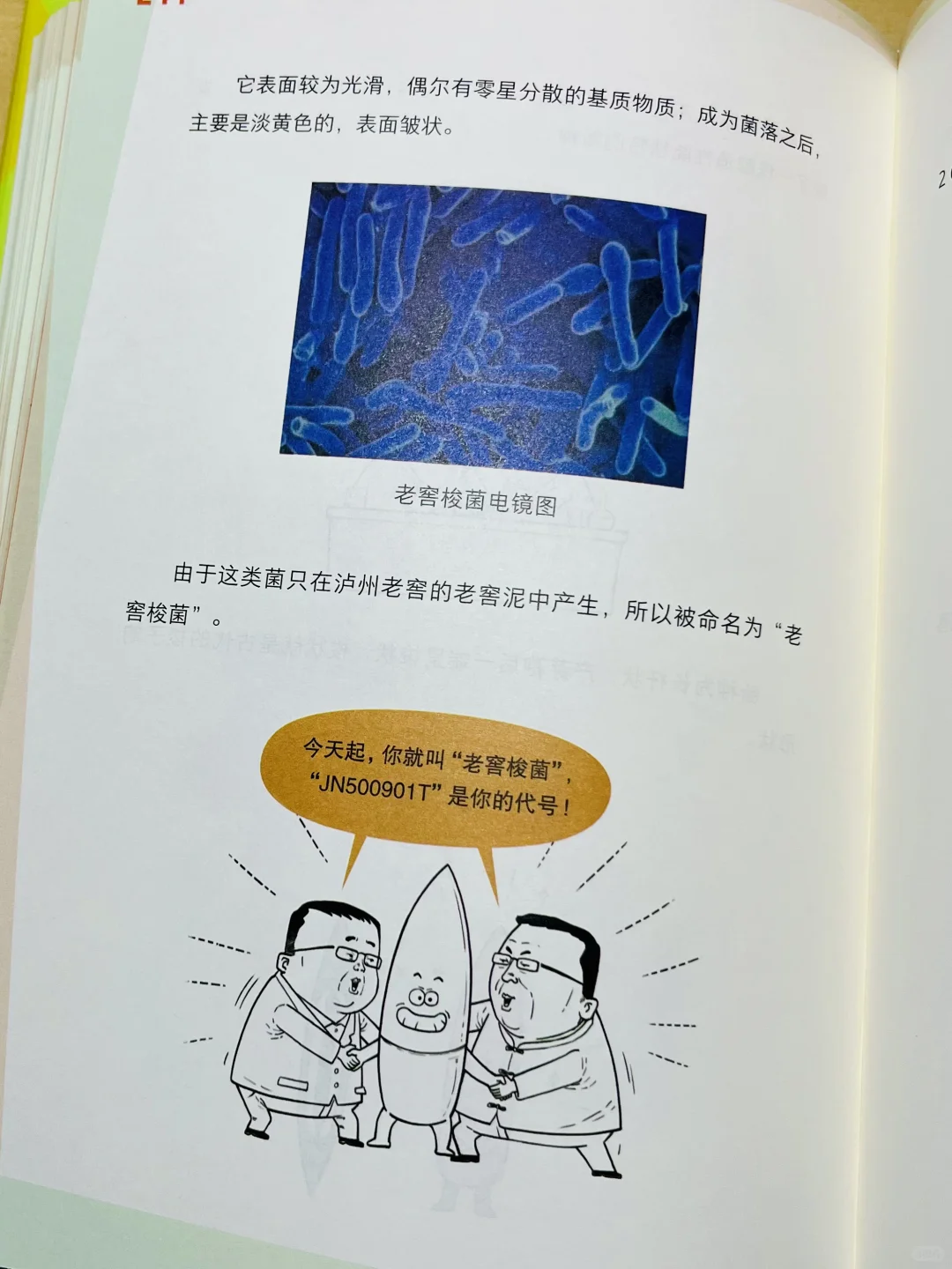 漫画科普|微观世界里的酿酒大师