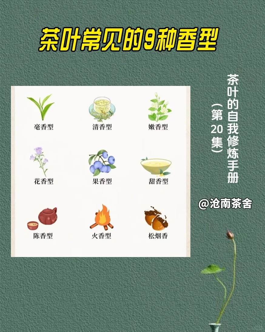 茶叶常见的9种香型