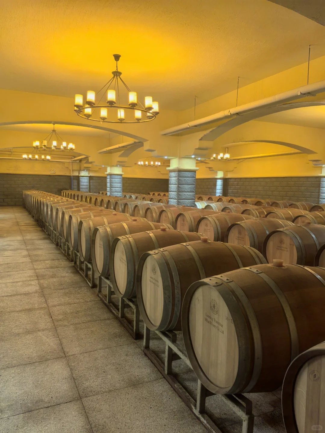 东北冰葡萄,什么时候火给我看啊??