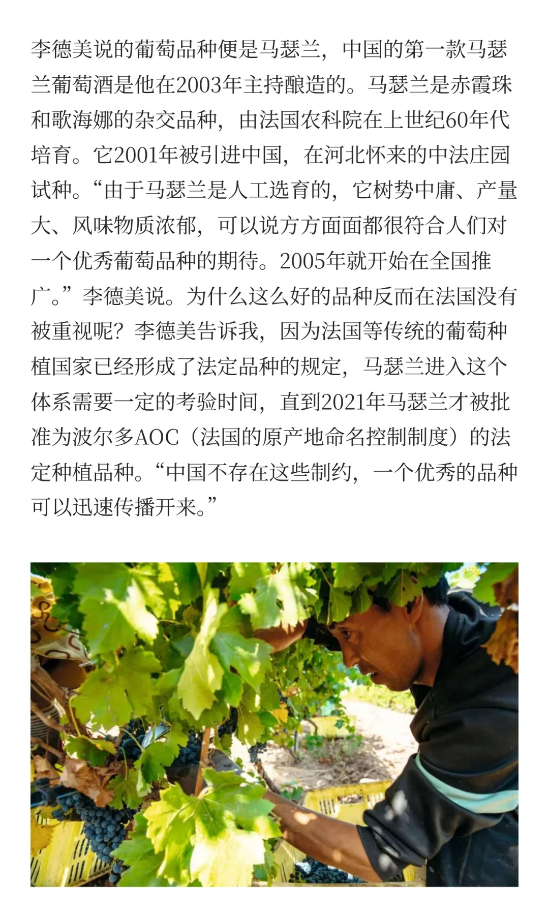 为什么不试试国产葡萄酒?