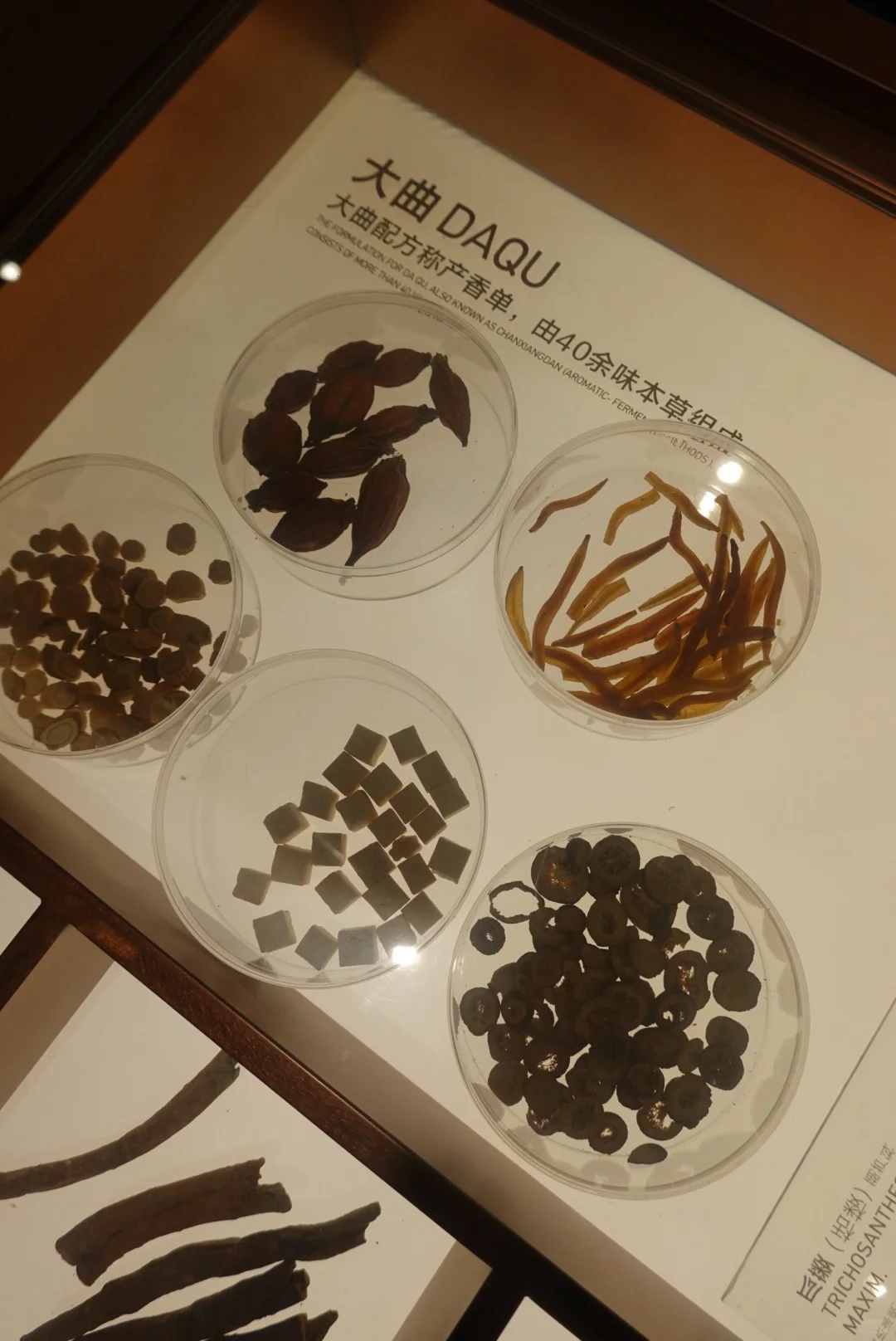 董酒游学实录｜这回，终于把董酒喝懂了