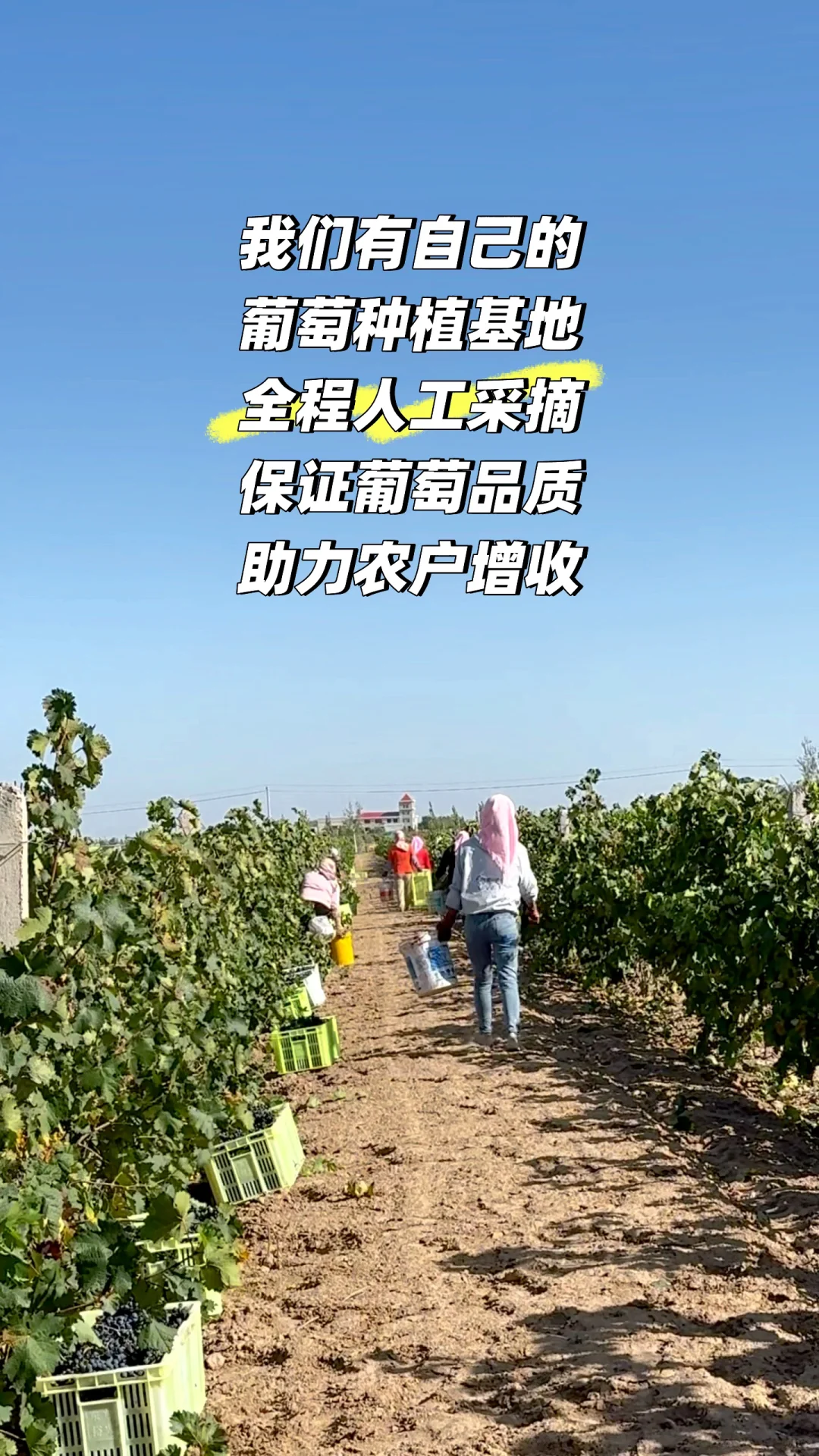 只有600瓶了!性价比金奖马瑟兰!太值了!