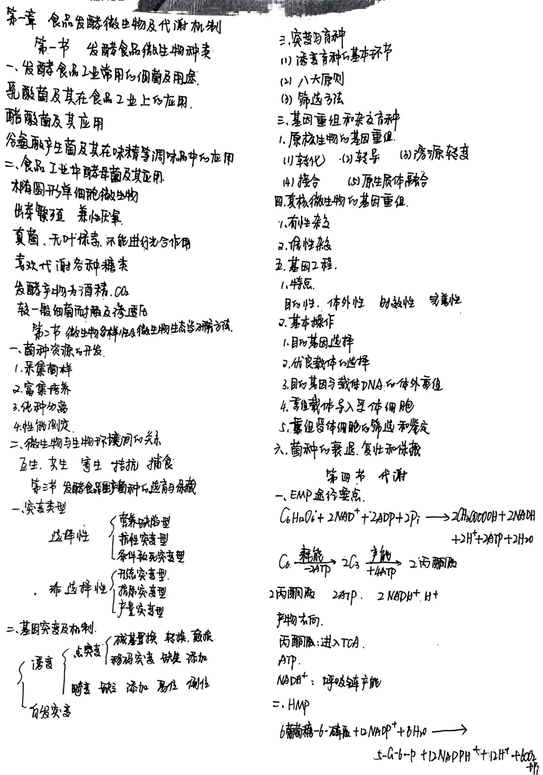 食品发酵原理与技术--笔记