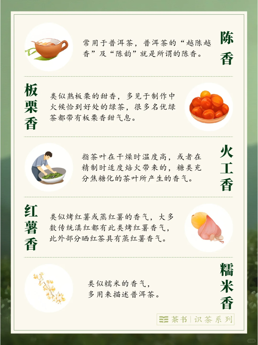 30种茶叶香型?，哪一种是你的心头爱？