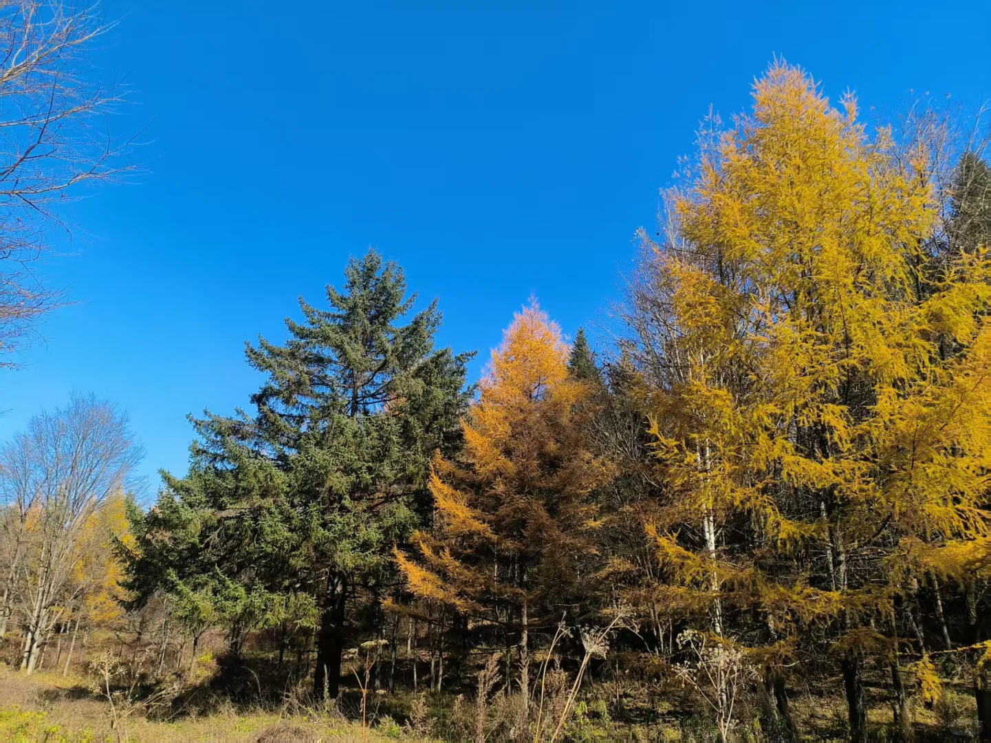 普本社招入美团酒旅的两年