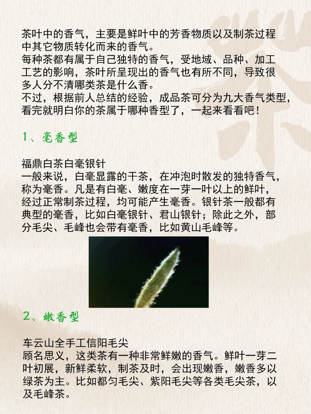 每日茶知识丨茶叶香型