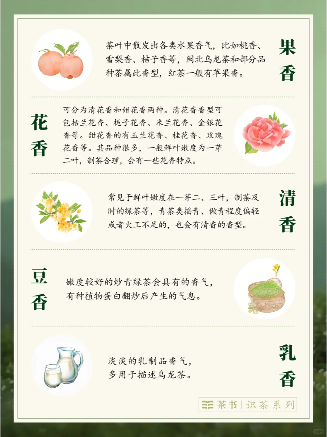 30种茶叶香型?，哪一种是你的心头爱？