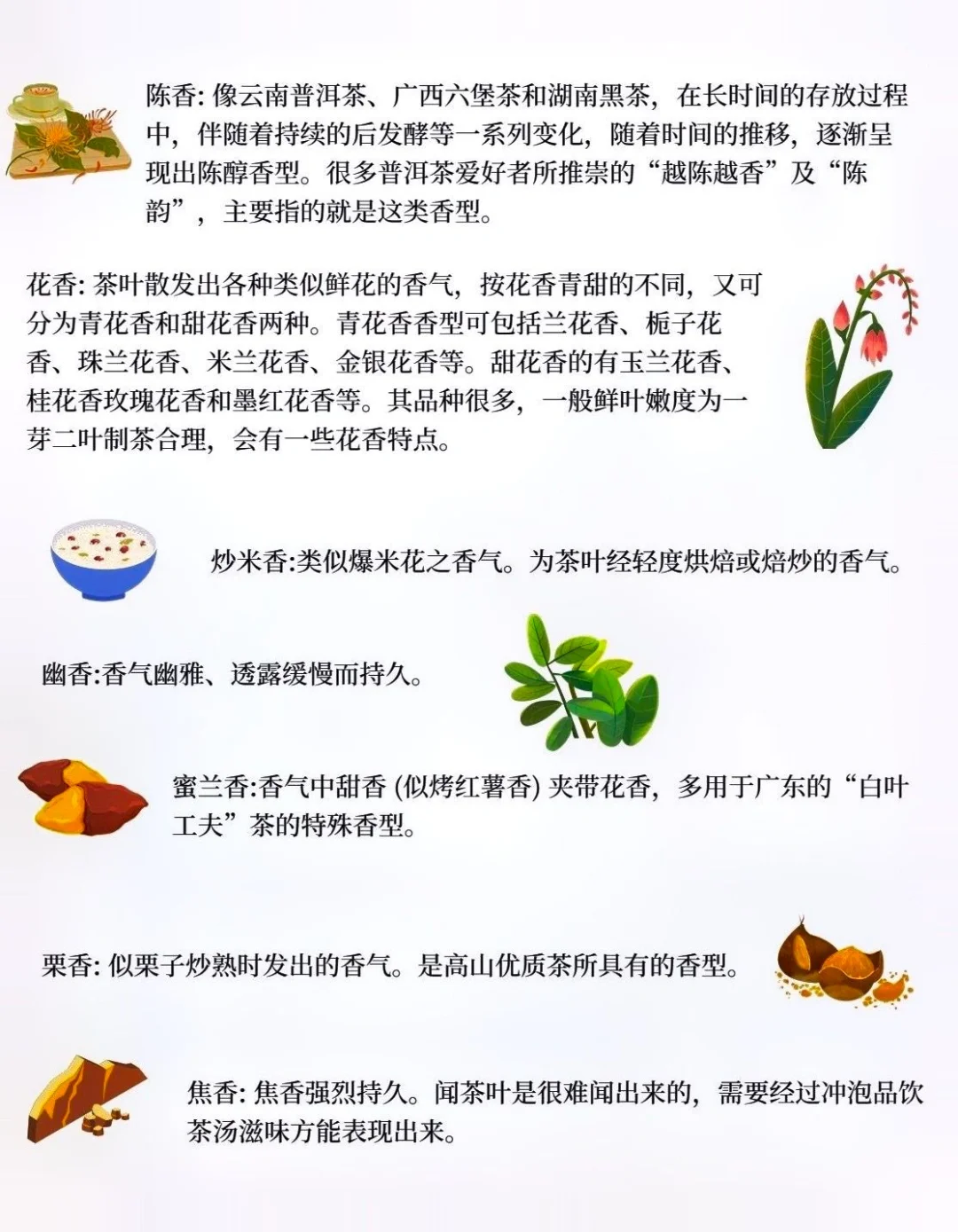 茶叶32种香型，你闻过几种？