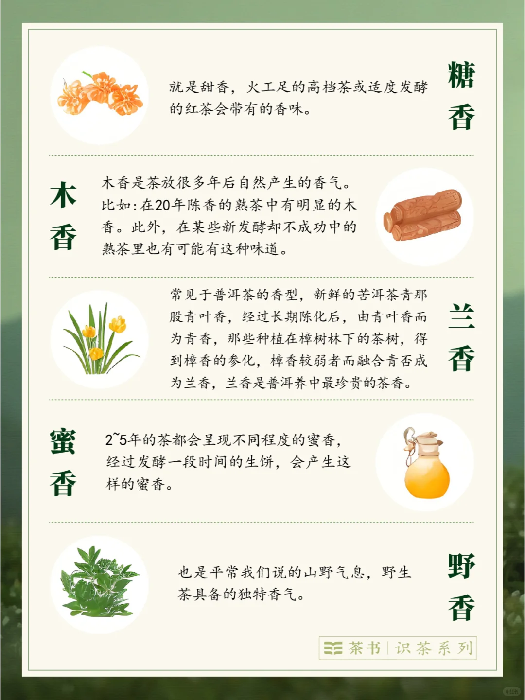 30种茶叶香型?，哪一种是你的心头爱？
